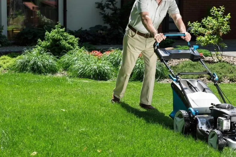 Can You Mow Wet Grass in Rio Rancho, NM