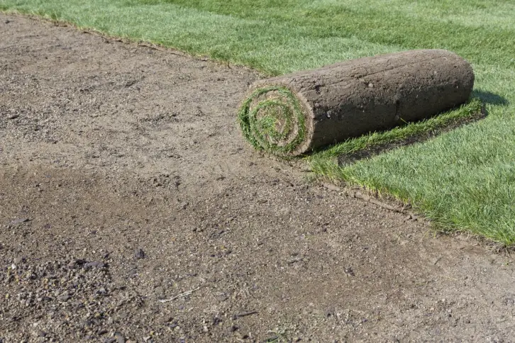 How Long After Installing Sod Can You Walk On It in Rio Rancho, NM