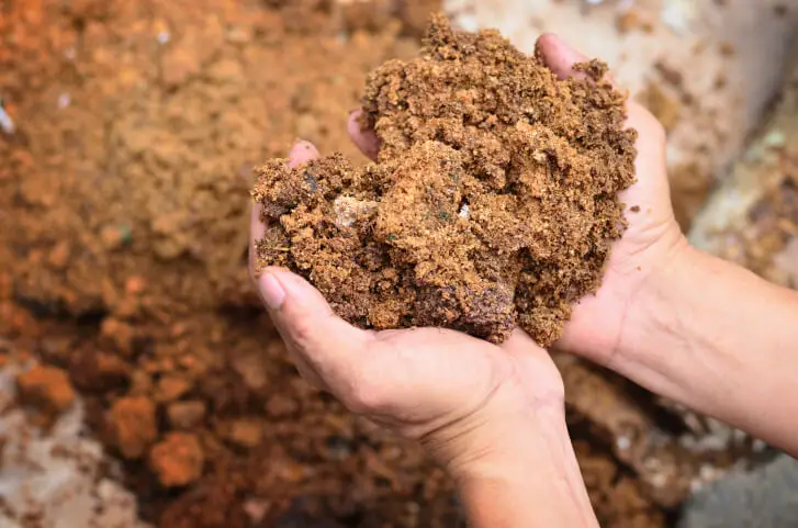 How Long Does Mulch Last in Rio Rancho, NM