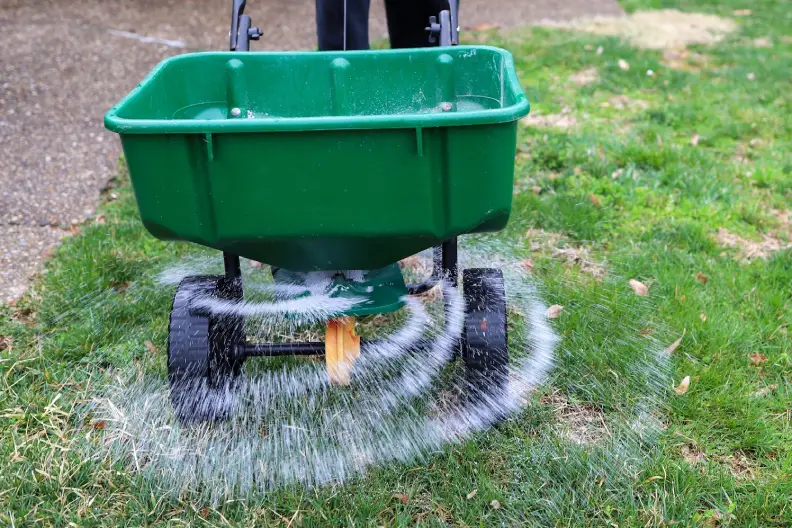 How Often Should You Fertilize Your Lawn in Rio Rancho, NM