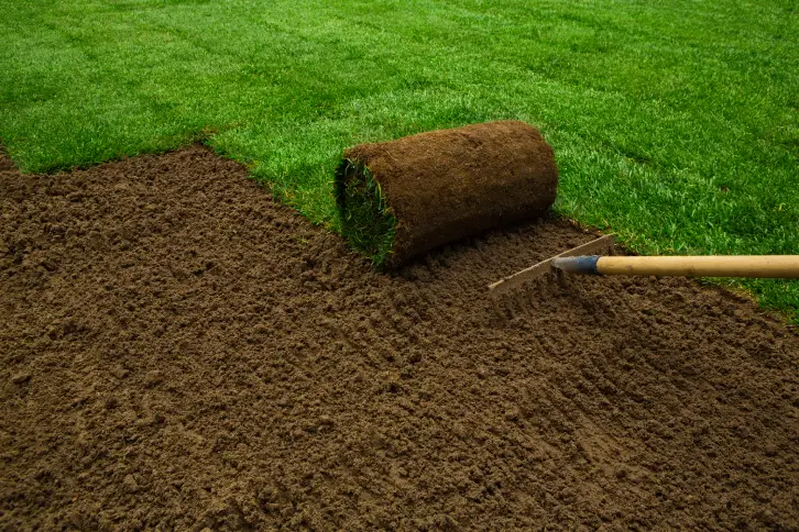 How to Lay Sod Over Existing Lawn Rio Rancho, NM