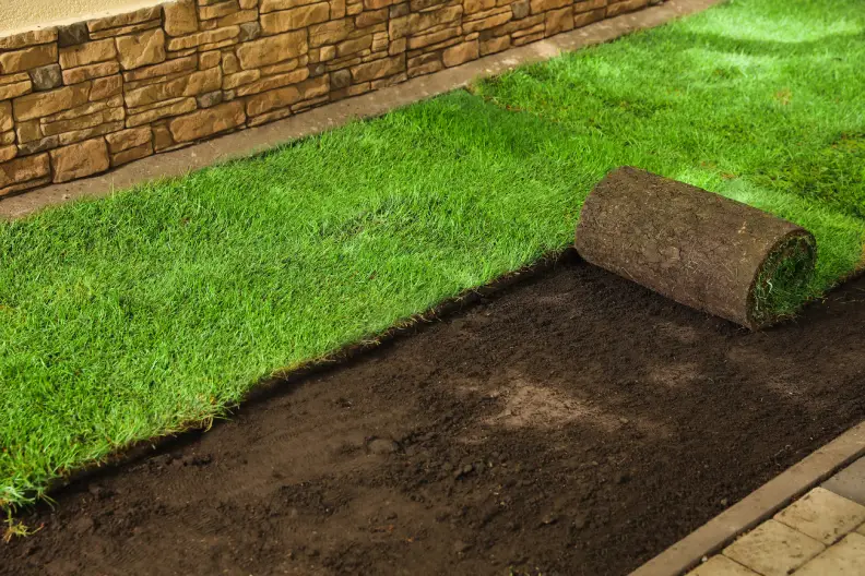 How to Lay Sod Over Existing Lawn in Rio Rancho, NM