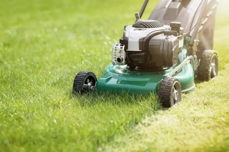 How to Mow a Lawn Rio Rancho, NM