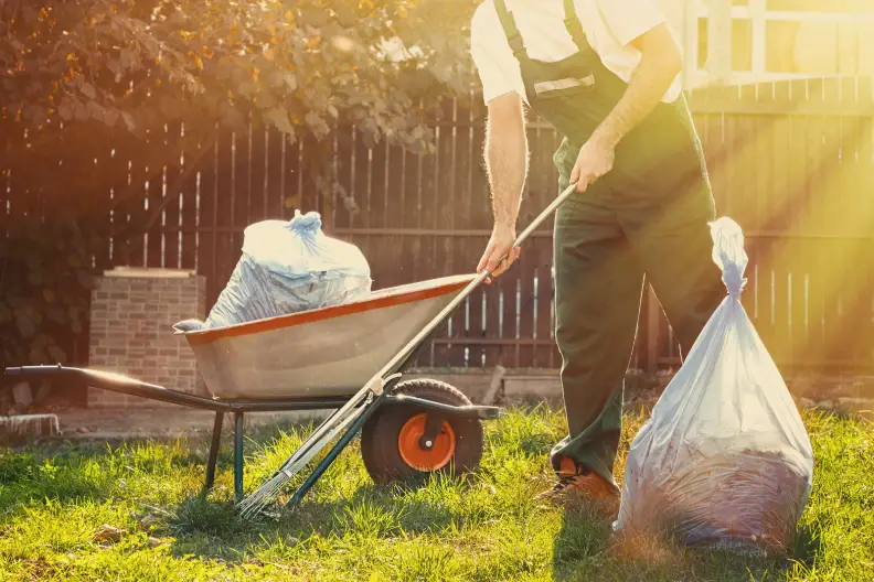 How To Clean A Backyard Rio Rancho, NM