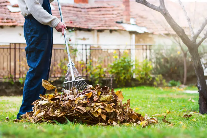 How To Clean A Backyard in Rio Rancho, NM