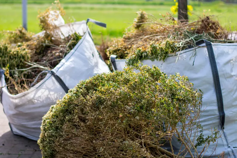 How to Clear a Yard Full of Weeds in Rio Rancho, NM