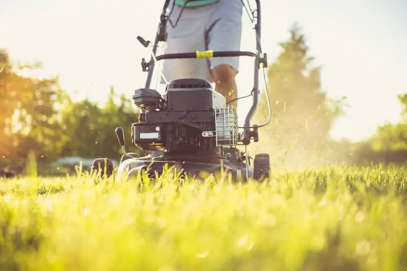 Lawn Mowing Rio Rancho, NM