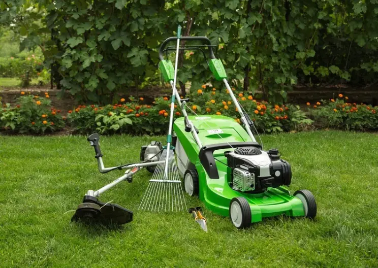 Lawn Mowing in Rio Rancho, NM - Landscaper