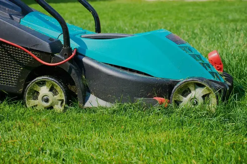 Lawn Mowing in Rio Rancho, NM