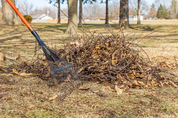 Yard Cleanup in Rio Rancho, NM - Landscaper